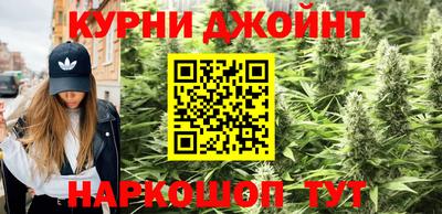 крисы Кунгур