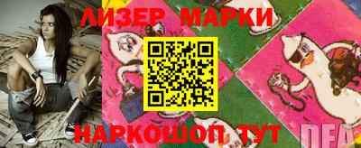 крисы Кунгур