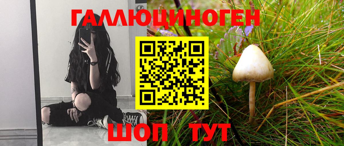 Галлюциногенные грибы мухоморы  Вход с VPN  Владикавказ  наркота  Псилоцибиновые грибы прущие грибы 
